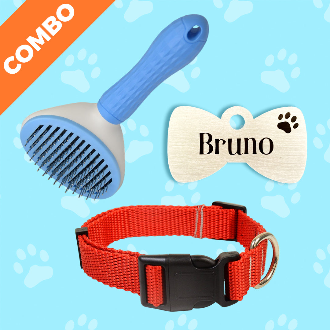 Bark & Purr Tag Classic Collar and Comb Combo