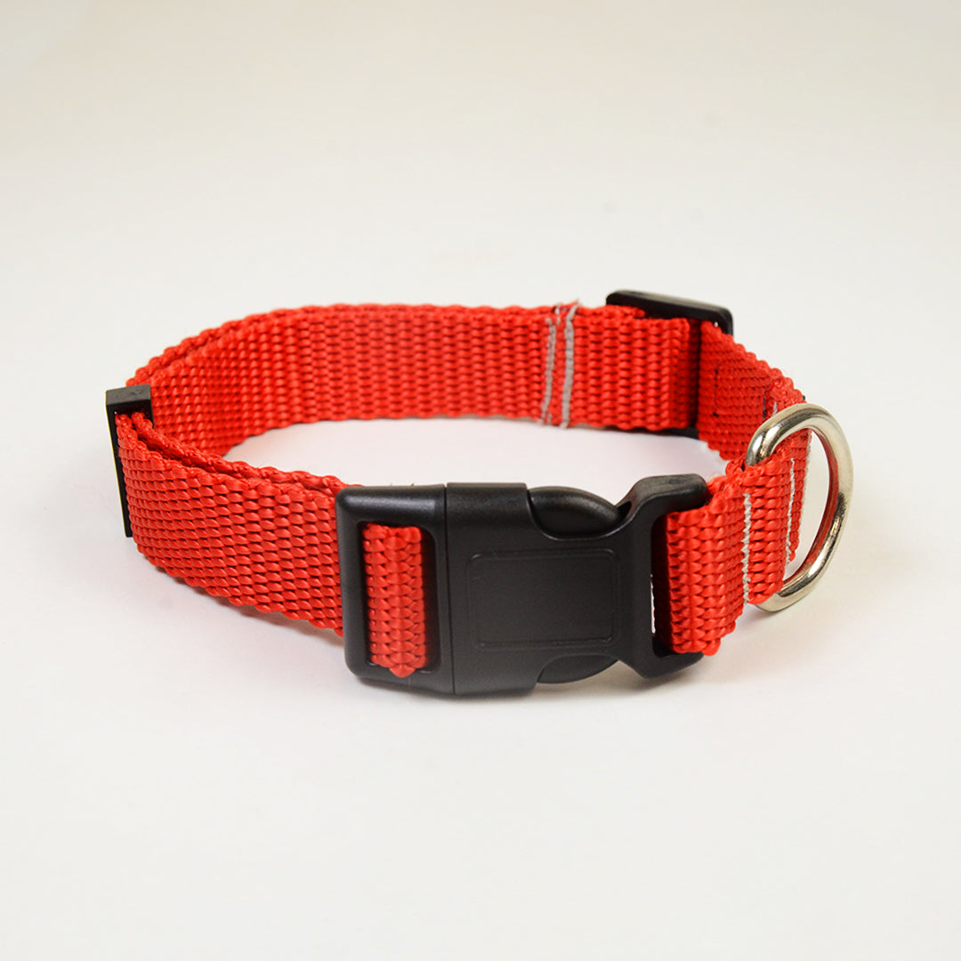 Classic Dog Collar