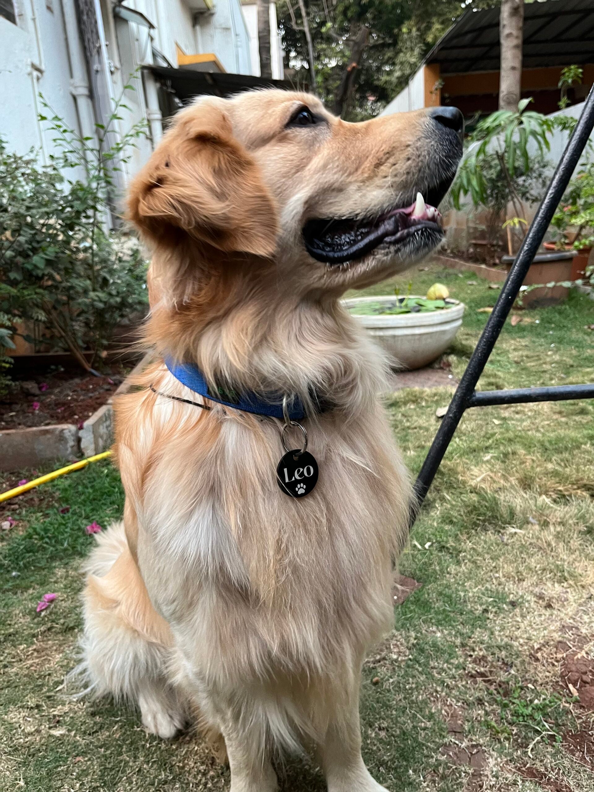 Customised Acrylic Dog Tag – Circle (Black)