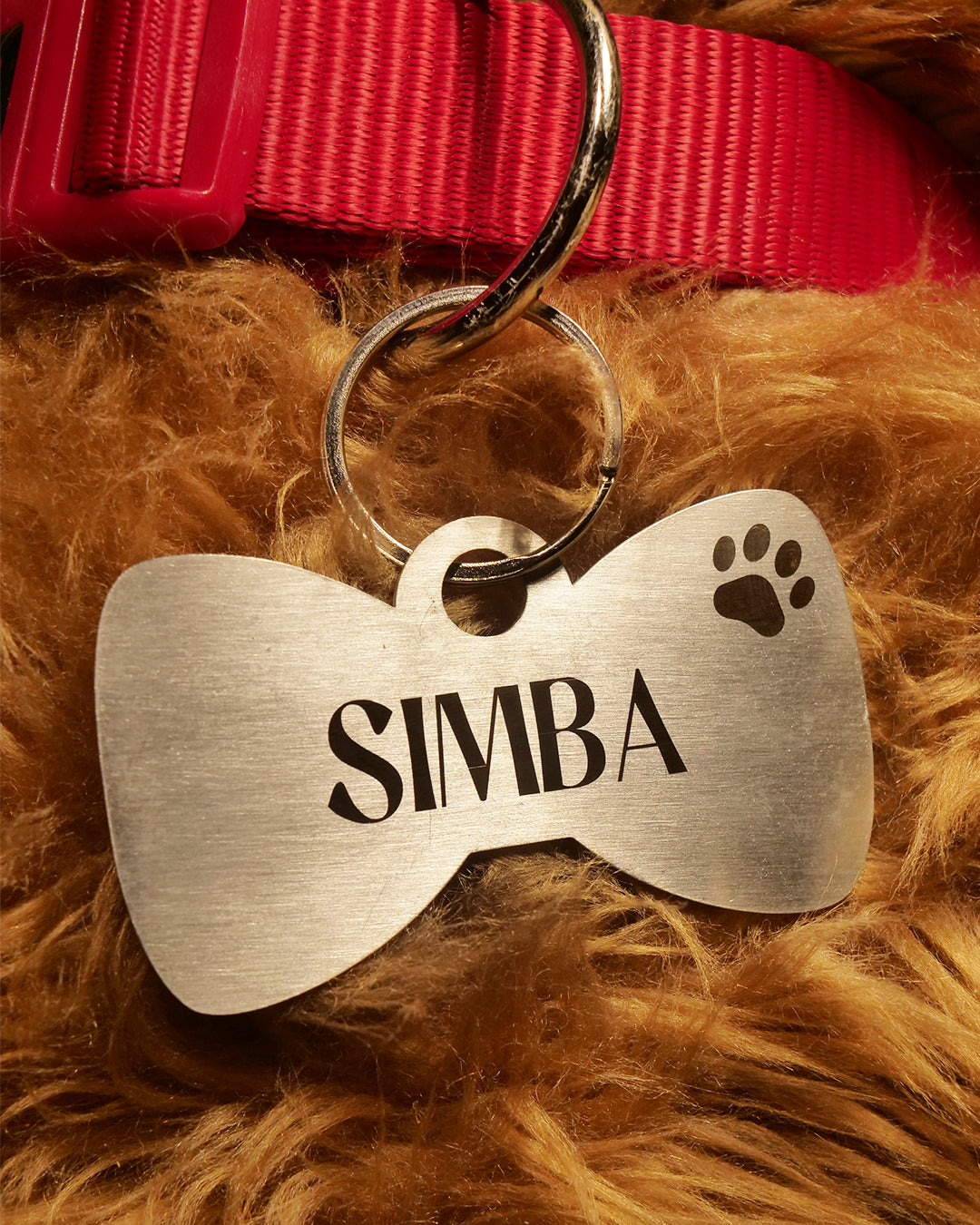 Customised Steel Dog Tag – Bow