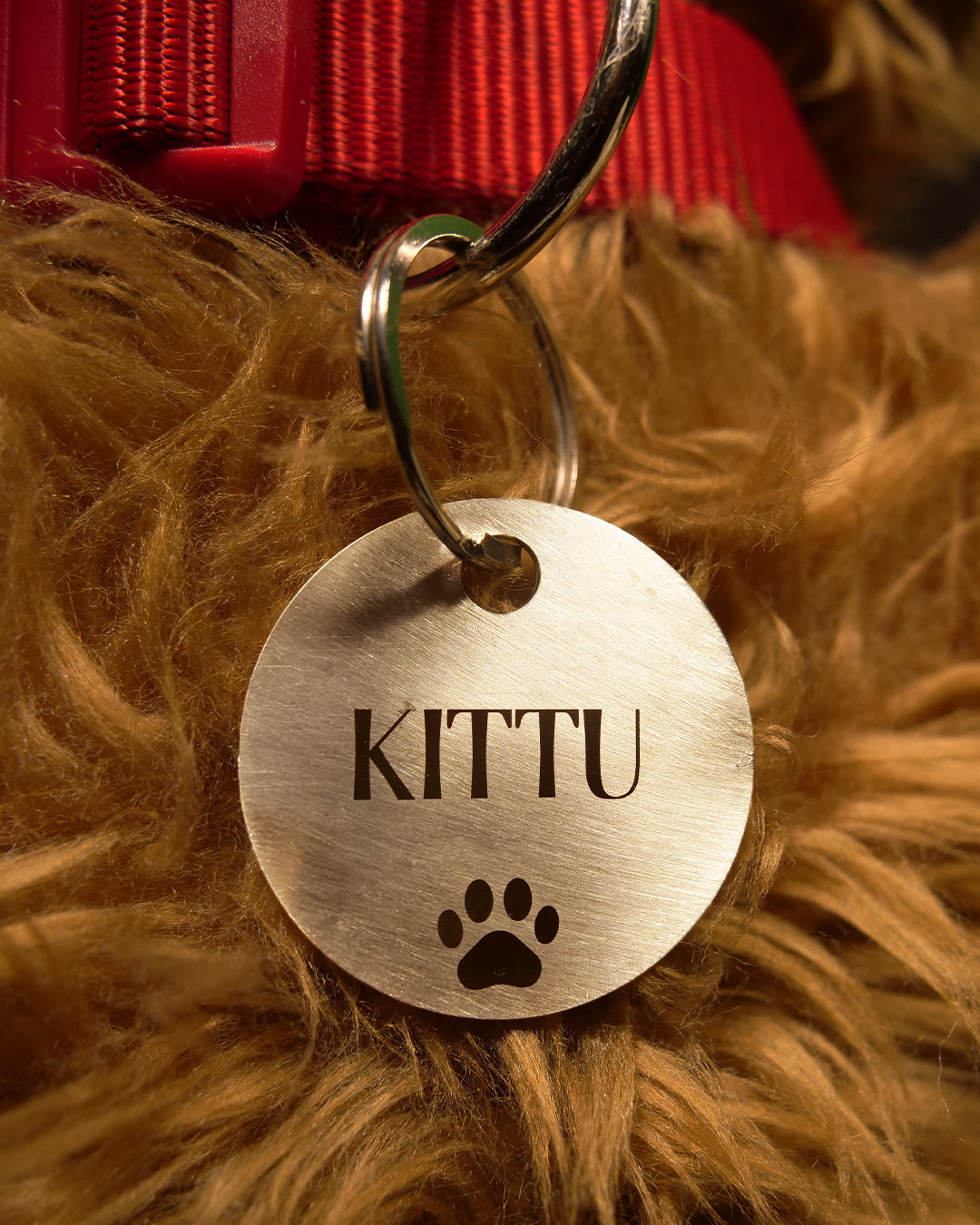 Customised Steel Dog Tag – Circle