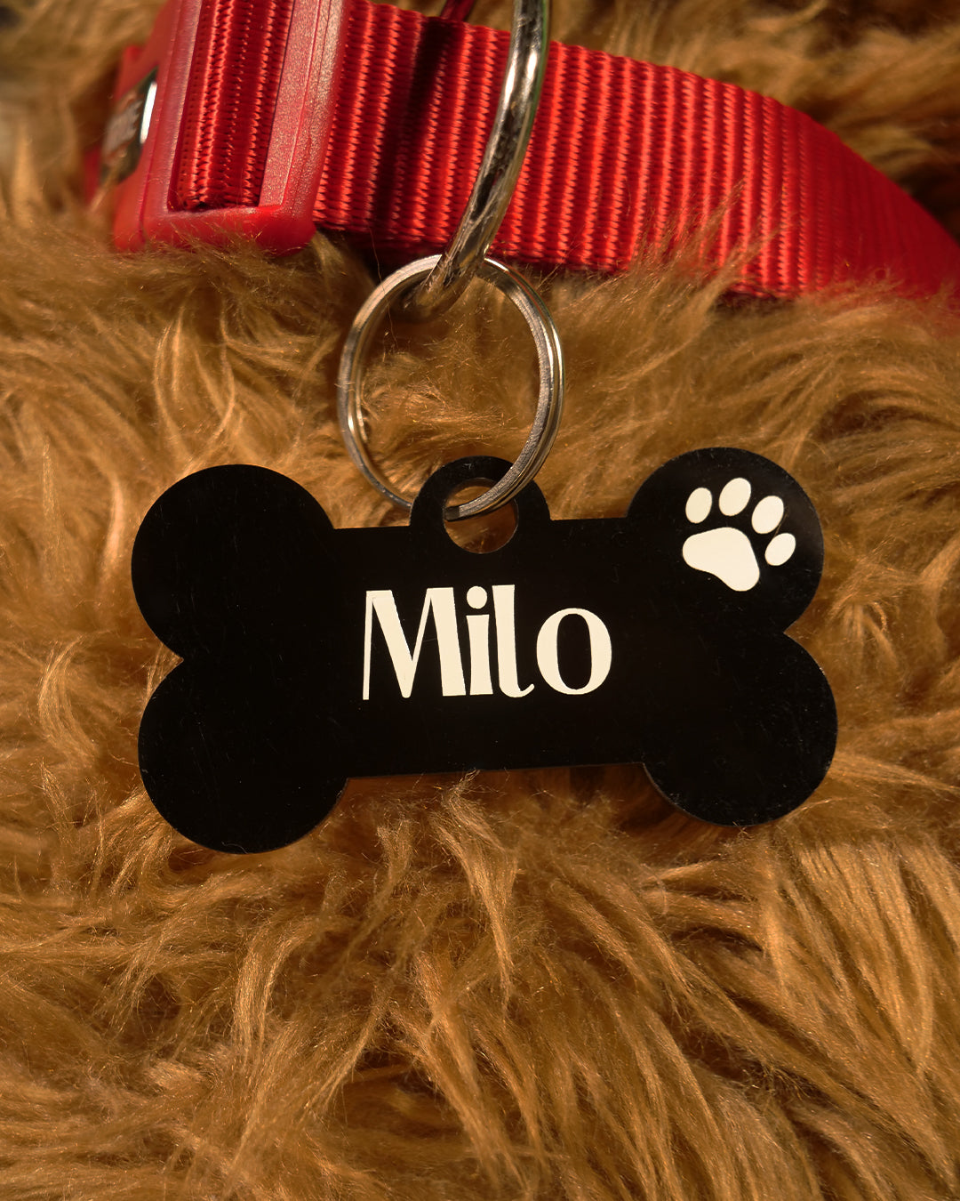 Customised Acrylic Dog Tag – Bone (Black)