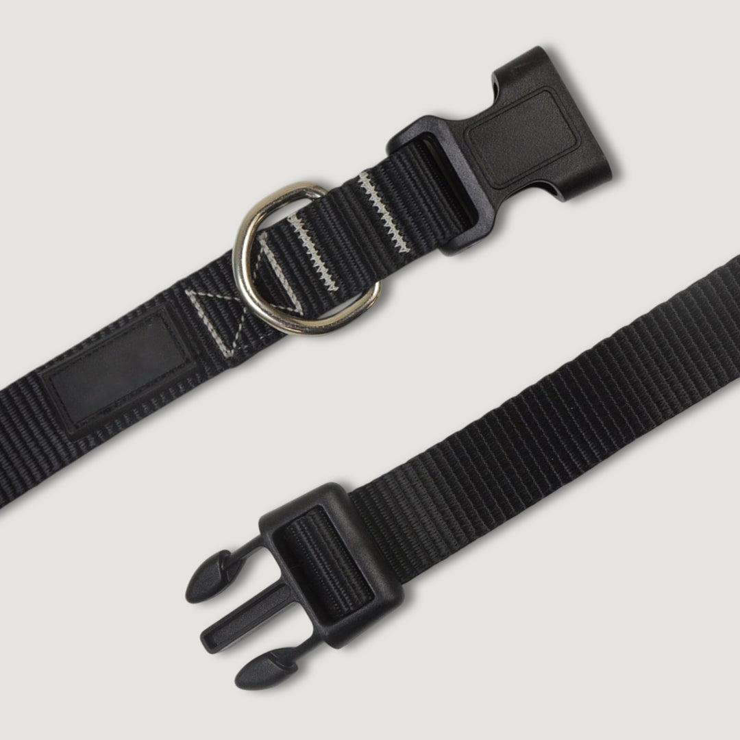 Nylon Snap Dog Collar